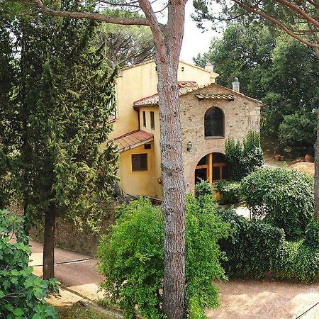 Stunning Country House Overlooking Tuscany Hills Lorenzana Dış mekan fotoğraf