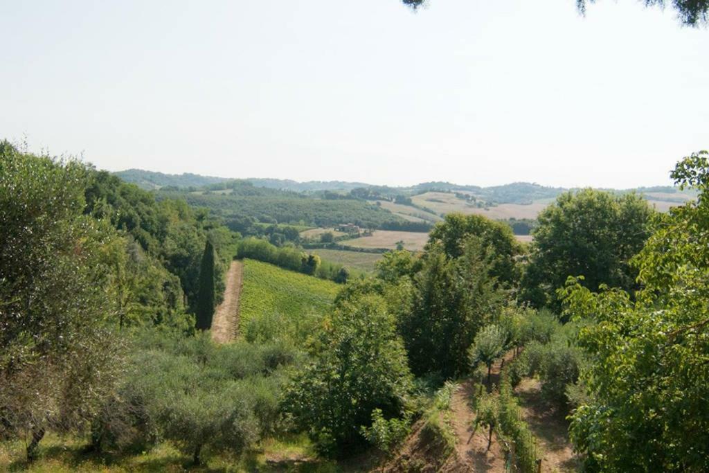 Stunning Country House Overlooking Tuscany Hills Lorenzana Dış mekan fotoğraf
